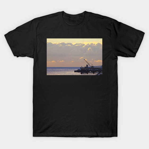 fisherman in another world T-Shirt by terezadelpilar